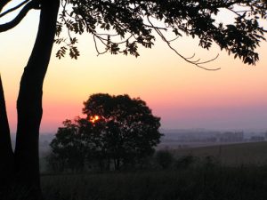 Nationalpark Hainich