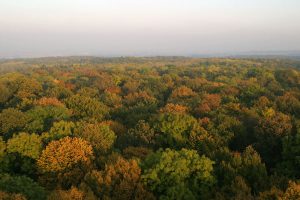 Nationalpark Hainich