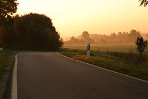 Nationalpark Hainich