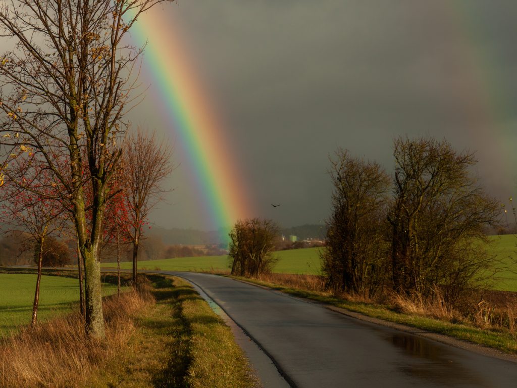 Bilder aus dem Ilmkreis