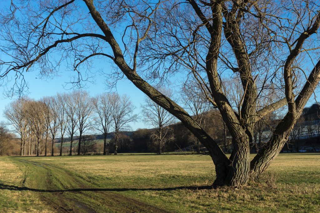 Bilder aus dem Ilmkreis