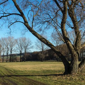 Bilder aus dem Ilmkreis