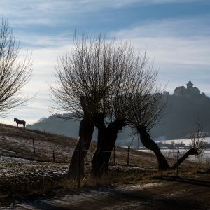 Bilder aus dem Ilmkreis