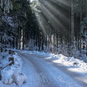 Bilder aus dem Ilmkreis