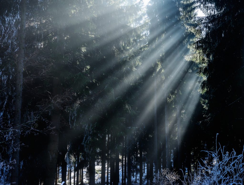 Stimmungsbilder
