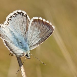 Kleines ganz groß