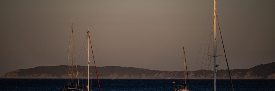 Bilder des Monats Juli 2025