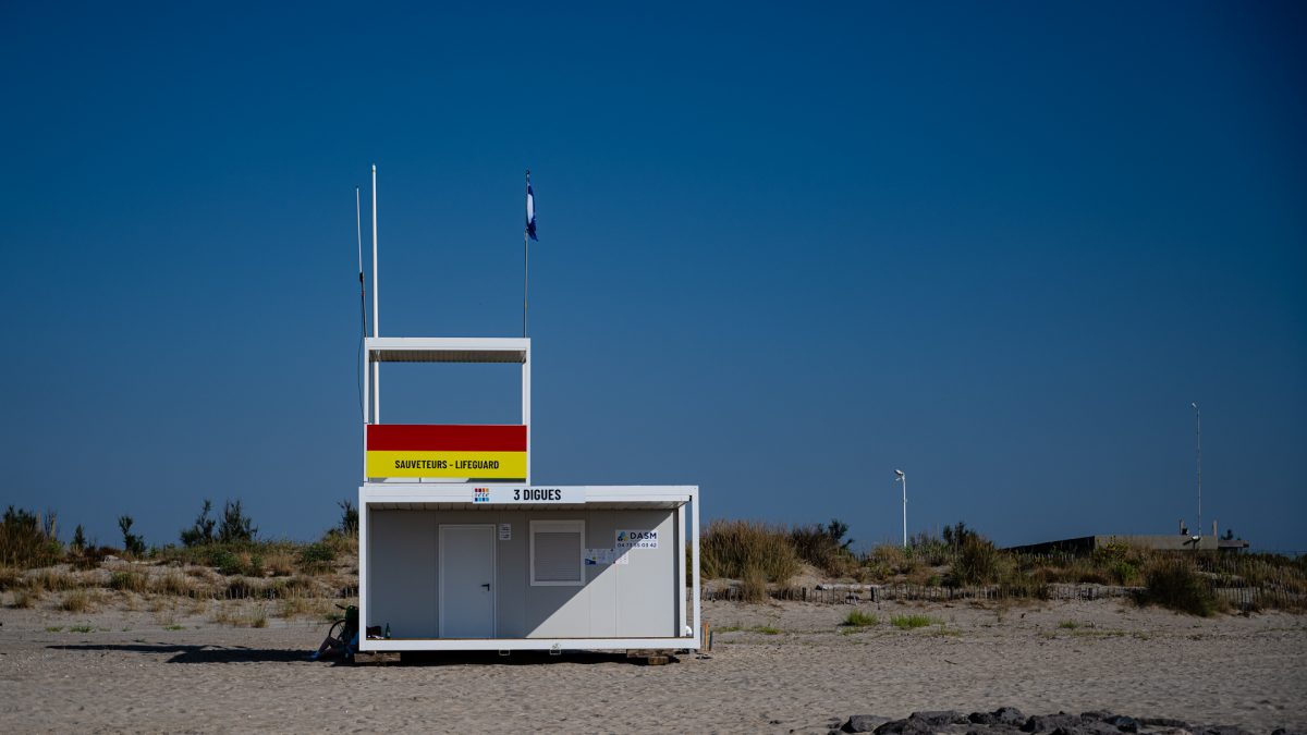 Bilder des Monats August 2025