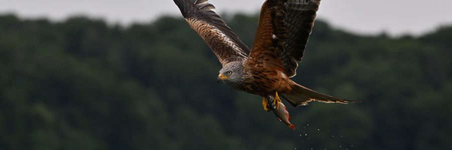 Bilder des Monats September 2025