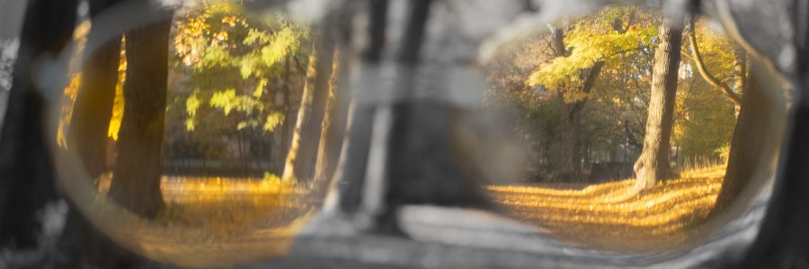 Themenfotografie Oktober 2025