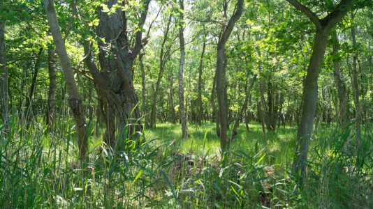 Foto: Alexander Simon 2016 Clubreise zur "Horizonte" nach Zingst