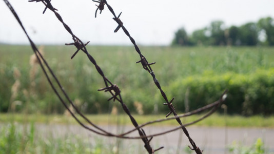 Foto: Alexander Simon 2016 Clubreise zur "Horizonte" nach Zingst