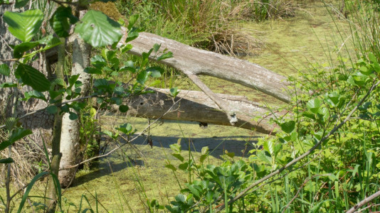 Foto: Alexander Simon 2016 Clubreise zur "Horizonte" nach Zingst