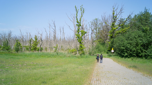 Foto: Alexander Simon 2016 Clubreise zur "Horizonte" nach Zingst