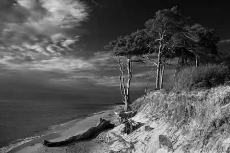 Foto: Claudia Jacobi 2016 Clubreise zur "Horizonte" nach Zingst