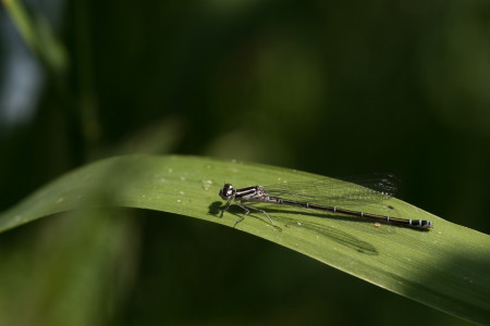Foto: Elke Lütz 2016 Clubreise zur "Horizonte" nach Zingst