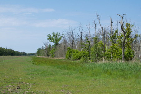 Foto: Eileen Penneckendorf 2016 Clubreise zur "Horizonte" nach Zingst