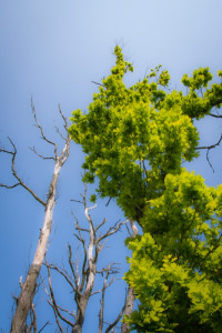 Foto: Sabrina Nürnberger 2016 Clubreise zur "Horizonte" nach Zingst