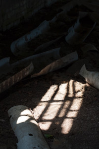 Foto: Sabrina Nürnberger 2016 Clubreise zur "Horizonte" nach Zingst