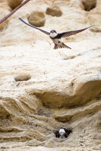 Foto: Mark Poltermann 2016 Clubreise zur "Horizonte" nach Zingst