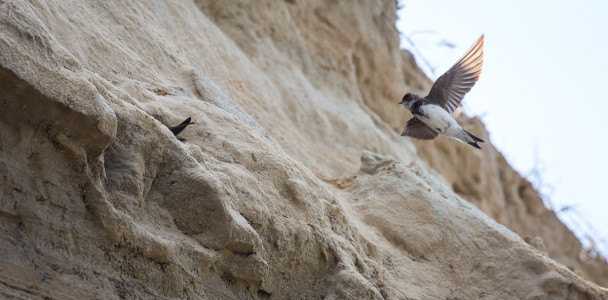 Foto: Mark Poltermann 2016 Clubreise zur "Horizonte" nach Zingst