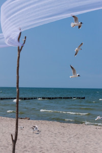 Foto: Sabrina Nürnberger 2016 Clubreise zur "Horizonte" nach Zingst