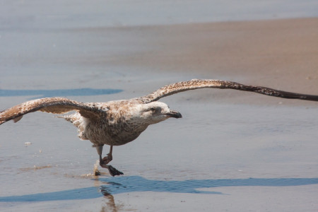 Foto: Sabrina Nürnberger 2016 Clubreise zur "Horizonte" nach Zingst