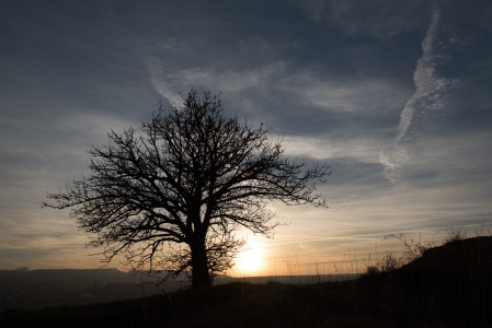 Natur und Landschaft