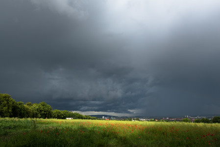 Natur und Landschaft