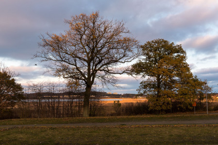 Natur und Landschaft