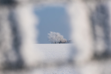 Natur und Landschaft