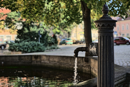 Bilder (m)einer Stadt - Arnstadt