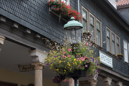 Foto: Elke Lütz Fotowettbewerb der Stadt Arnstadt