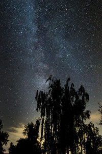 Ralf Oelsner Ein Blick in die Sterne
