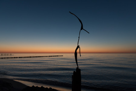 Sommer, Sonne, Strand und Fotografen