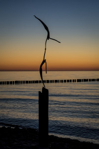 Stephan Zeidler Zingster Skulpturen - bei Tag und Nacht