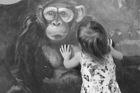 Foto: Andrea Radzieja-Scholz Kontrast - Unscharf - Mitziehen