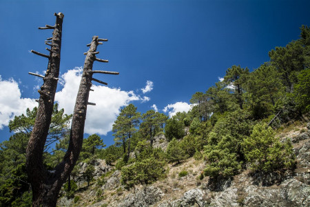 Stephan Zeidler Berge und Meer, Wasser und Felsen