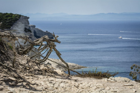 Stephan Zeidler Bonifacio - entlang der korsischen Steilküste