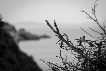 Stephan Zeidler Bonifacio - entlang der korsischen Steilküste