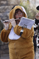 Fasching einer kleinen Stadt