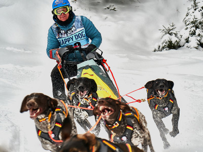 Schlittenhunderennen in Frauenwald