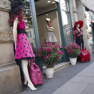 Fotowalk durch Erfurt