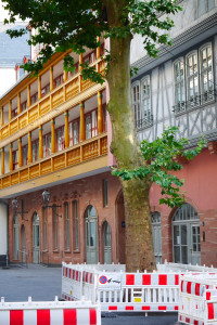 Frankfurt Dom/Römer