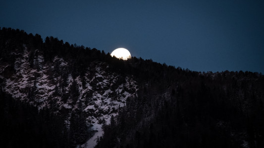 Gleich ist er weg Ab in die Alpen!