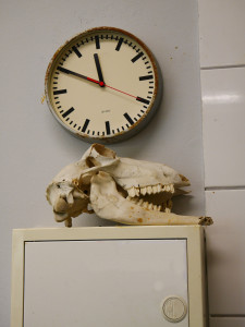 Bauhaus Informationstag