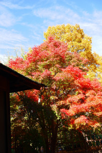 Herbst im Japanischen Garten