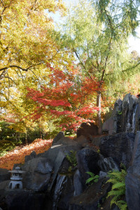 Herbst im Japanischen Garten