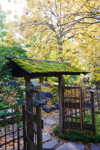 Herbst im Japanischen Garten