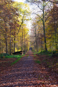 Herbst Impressionen